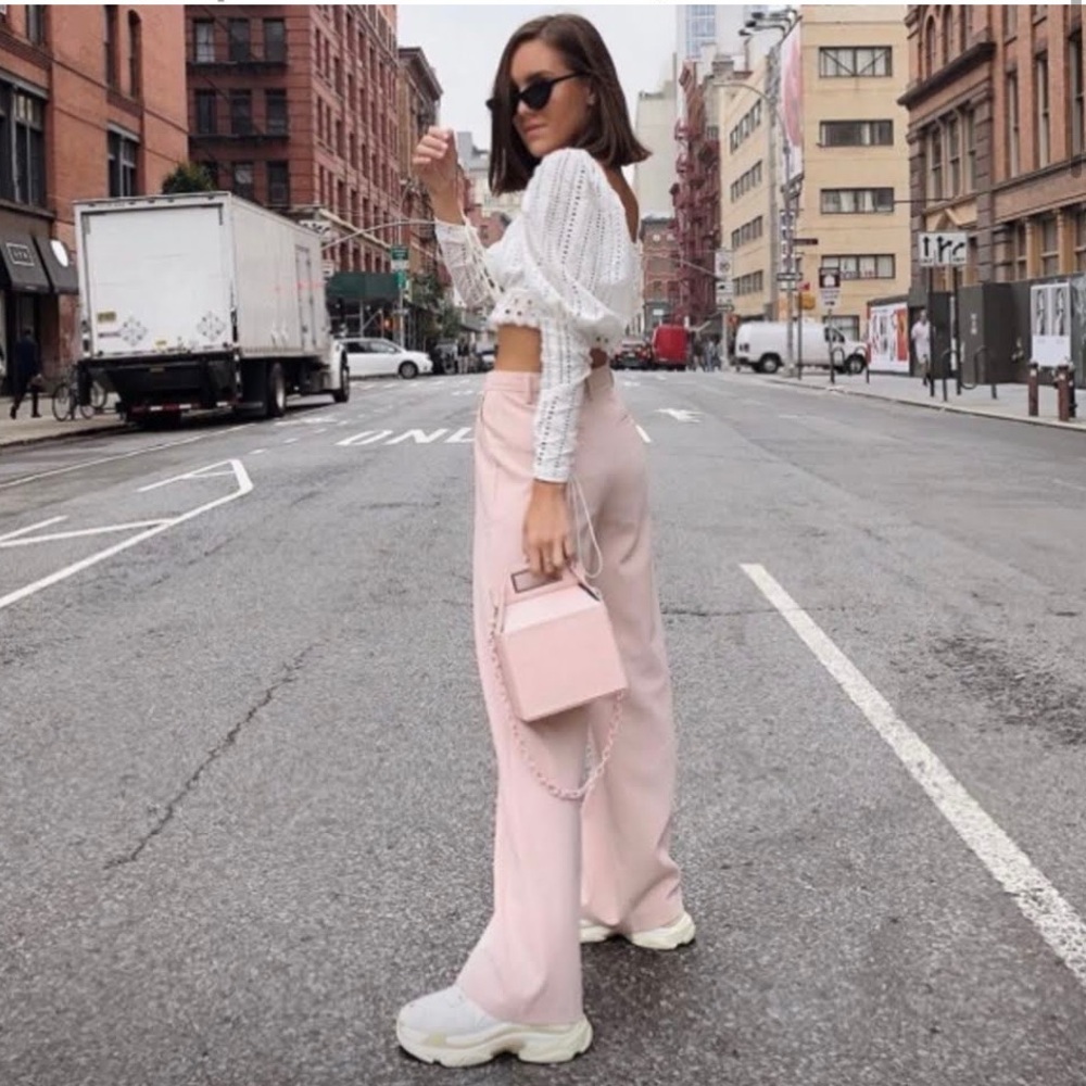 Aritzia Babaton Sadiki Pink Feminine Bohemian Wide Leg High Rise Pant Sz 6